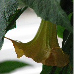 �C���[�W02