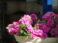 �C���[�W03